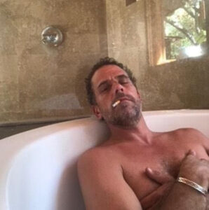 Hunter Biden: “After becoming sober, he chose to file false returns to evade payment of taxes he owed,” the special prosecutor wrote. | Daily Mail