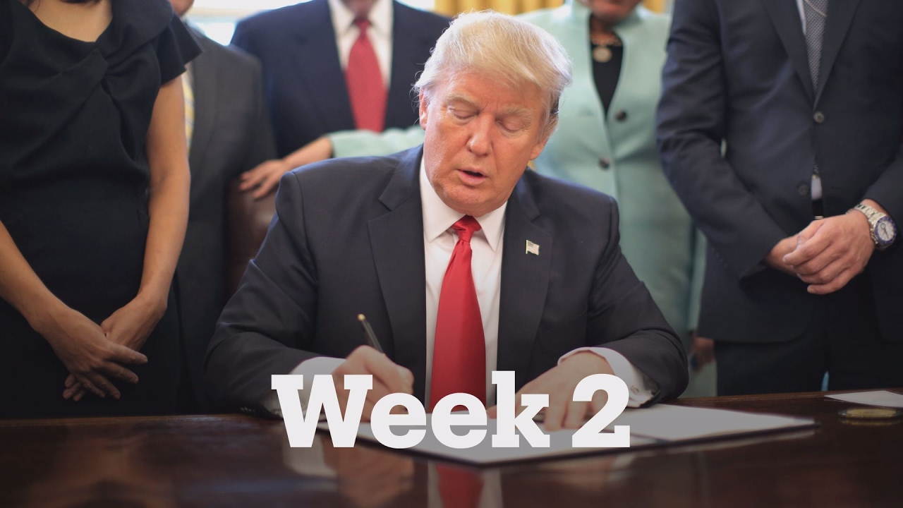 President Trump: Week 2