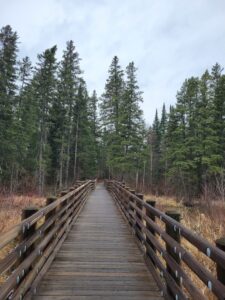 Free entrance to Minnesota state parks and rec areas today
